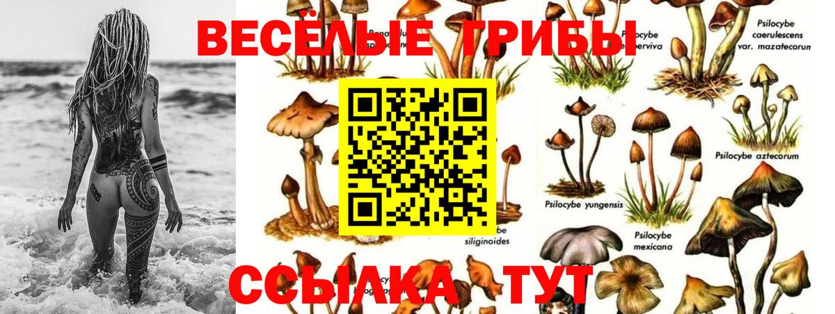 Галлюциногенные грибы Magic Shrooms Лысьва