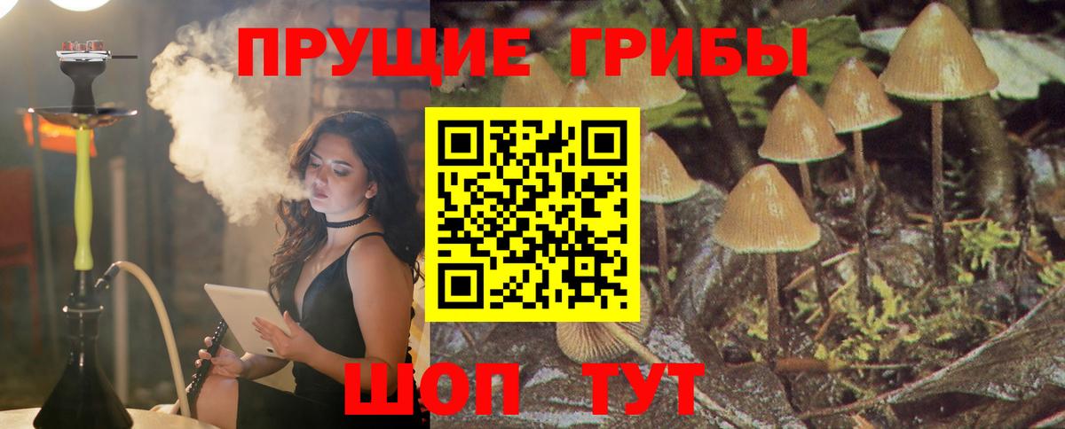 Лысьва  Псилоцибиновые грибы Cubensis  Вход с VPN 